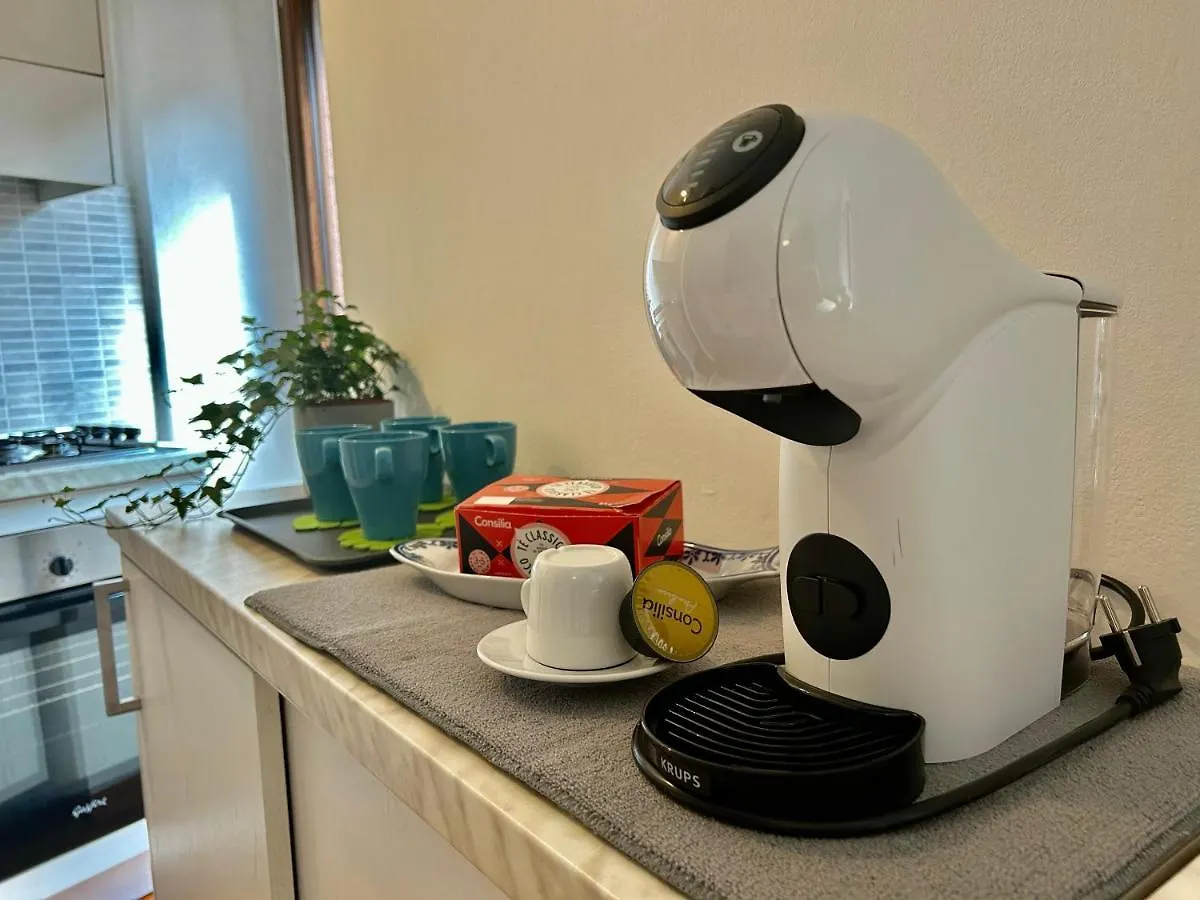 Tua Duplex Apartment Salo 0*,